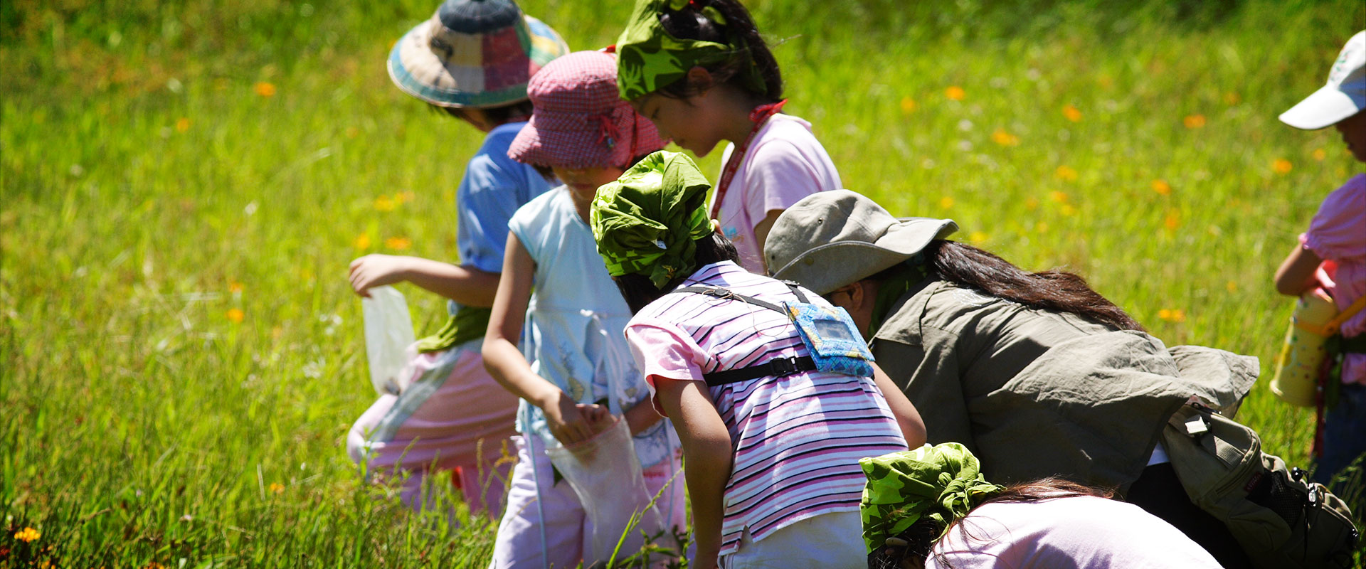 research on environmental education