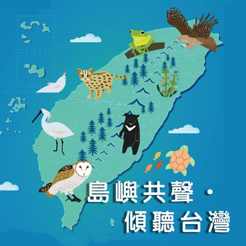 聽見穿山甲