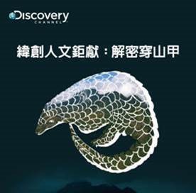 看見穿山甲
