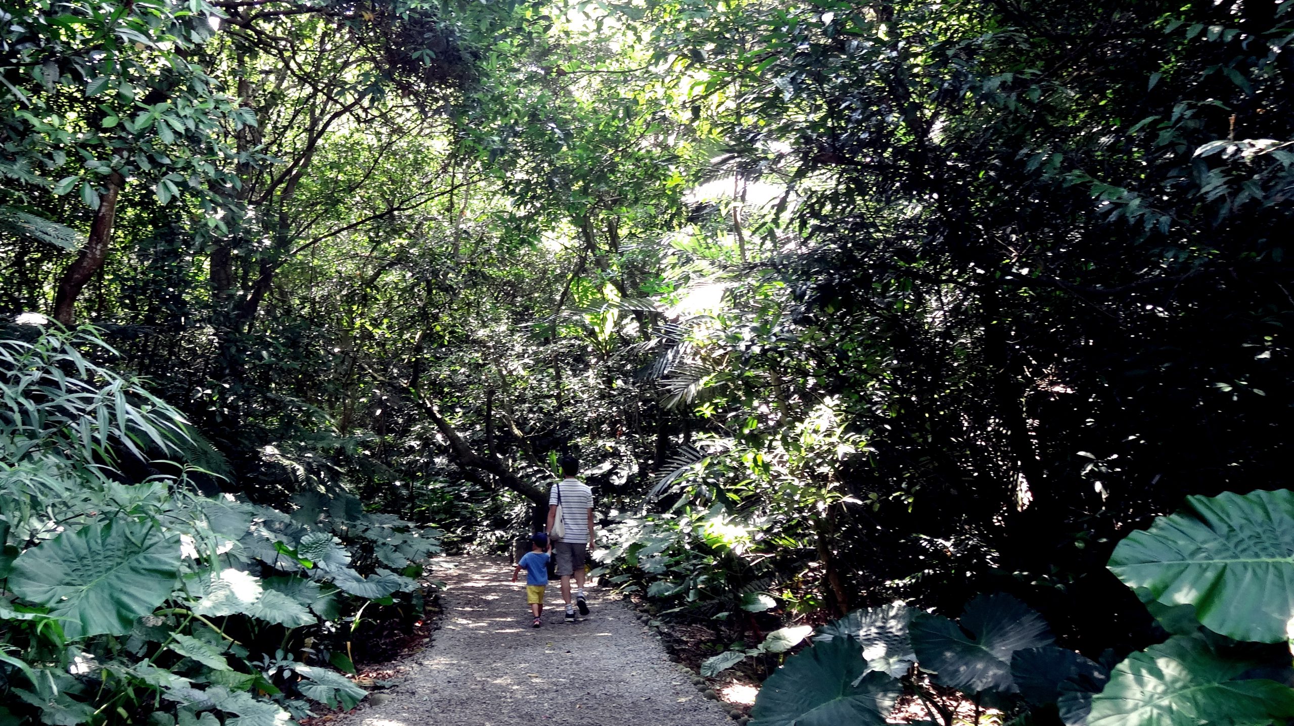 富陽公園