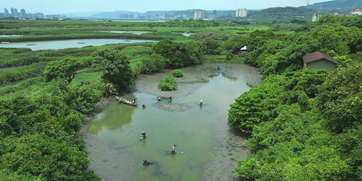 月池埤塘認養專案