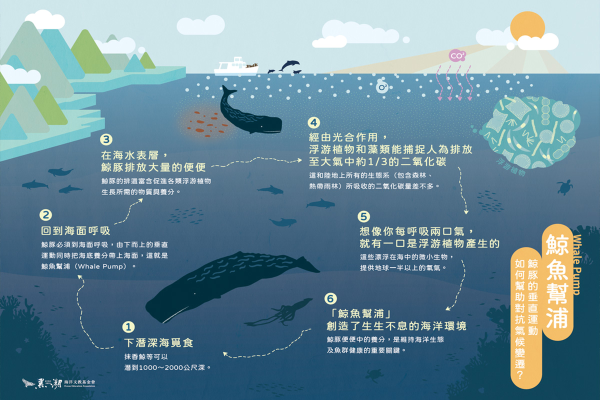黑潮「海洋綠洲」計畫