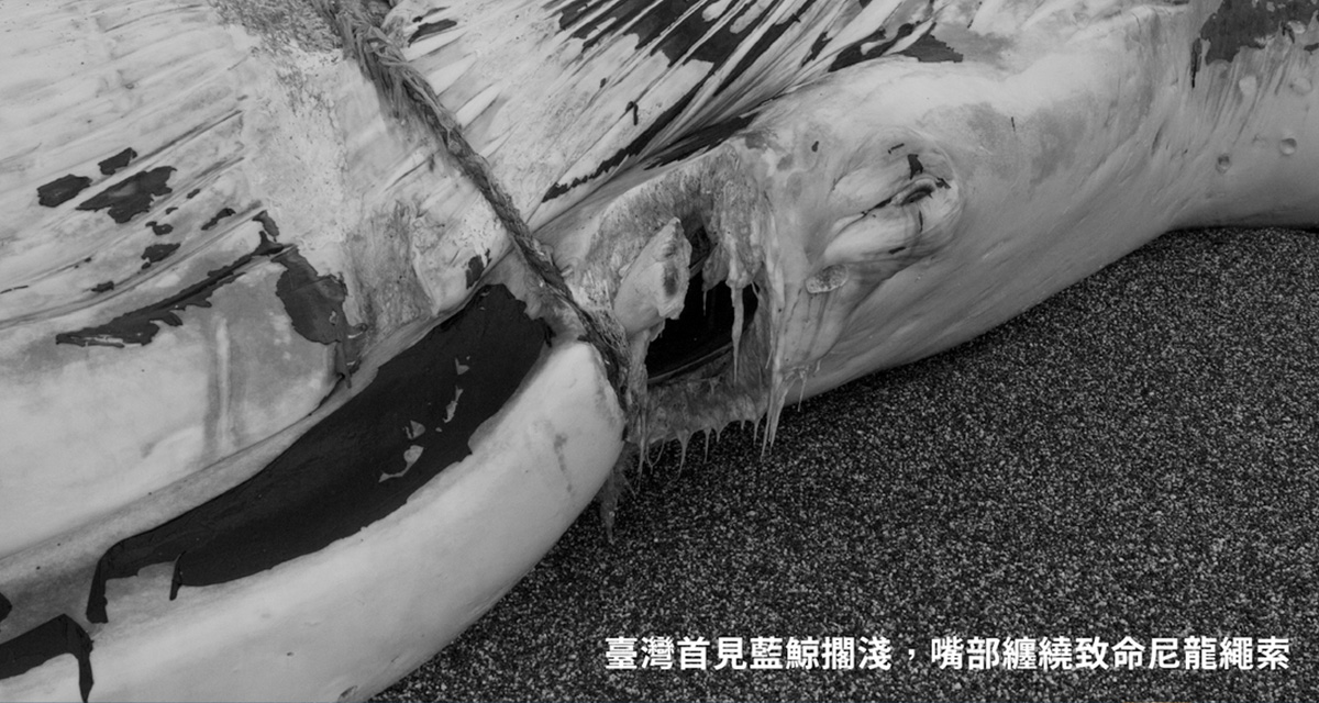 黑潮「海洋綠洲」計畫