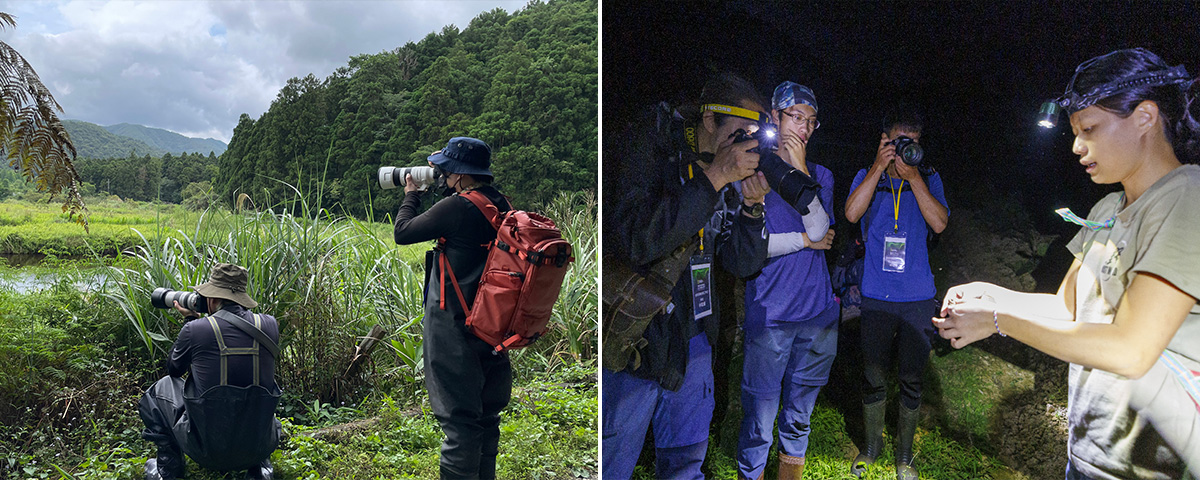 Nature Photography & Environmental Storytelling Workshop