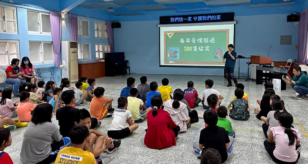 猛禽的生存危機