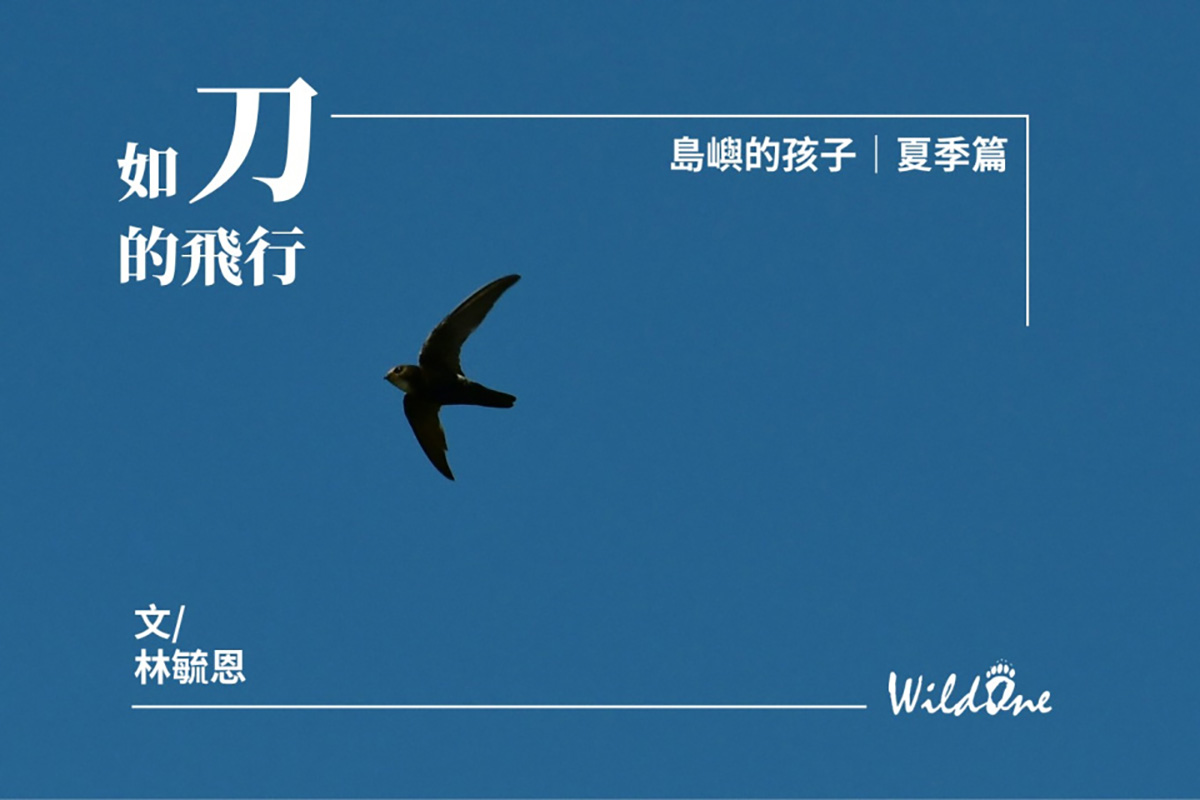 如刀的飛行
