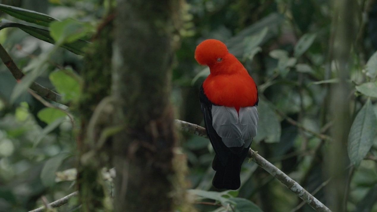 凝視徐仁修的野地人生