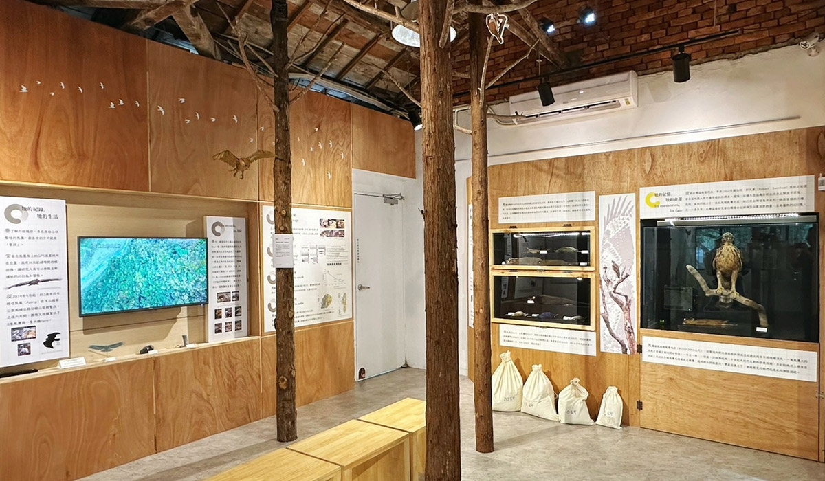 猛禽會熊鷹特展