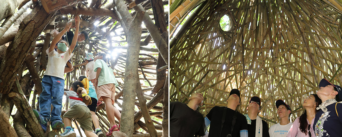 跟著策展人看「2025關渡國際自然藝術季」活動紀實