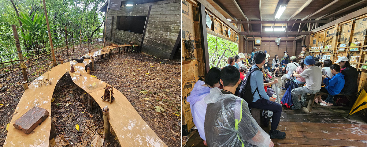 跟著策展人看「2025關渡國際自然藝術季」活動紀實