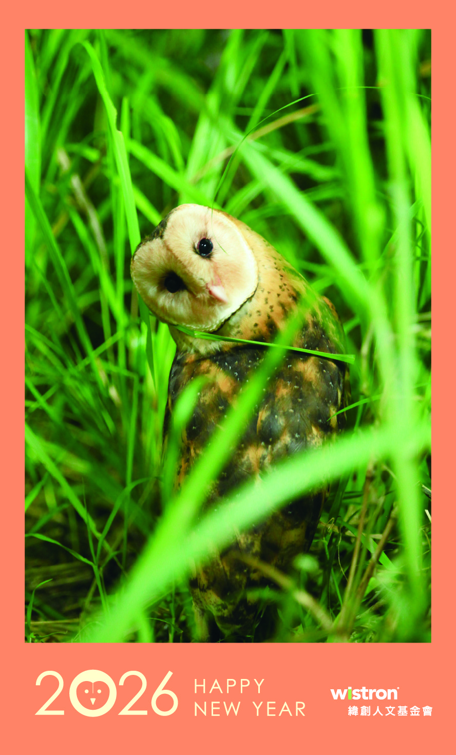 「東方草鴞」新年賀卡_A