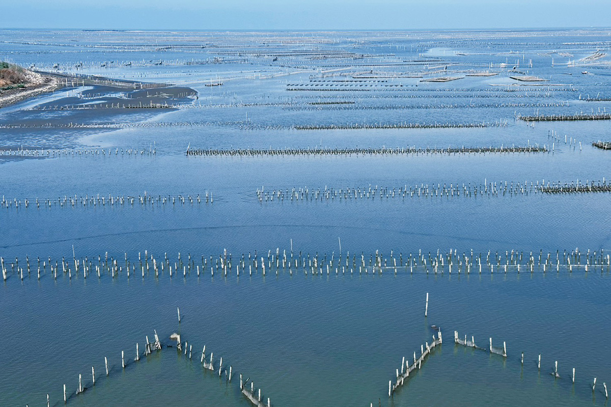 七股潟湖的滄海桑田與人海共生