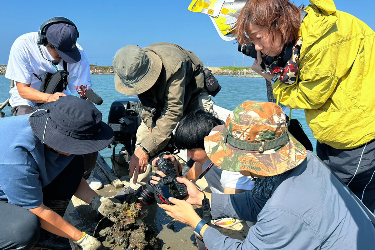 七股潟湖的滄海桑田與人海共生