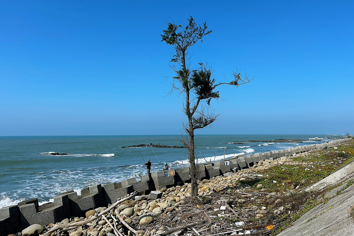 鏡頭下的七股環境變遷