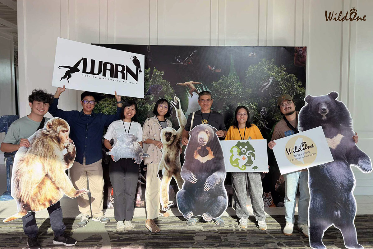 野灣走上國際舞台