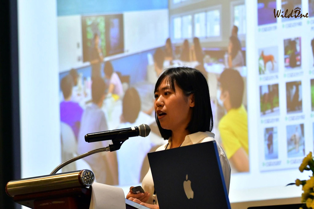 野灣走上國際舞台