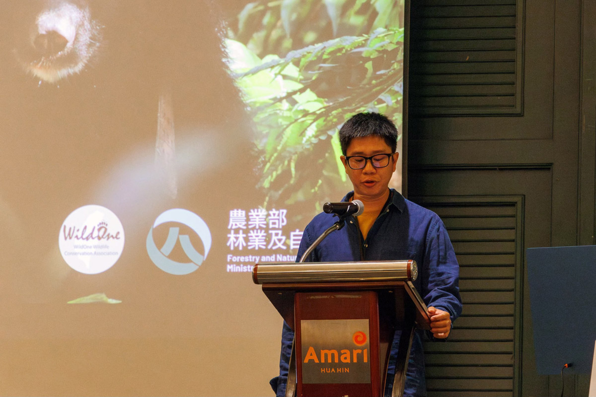 野灣走上國際舞台