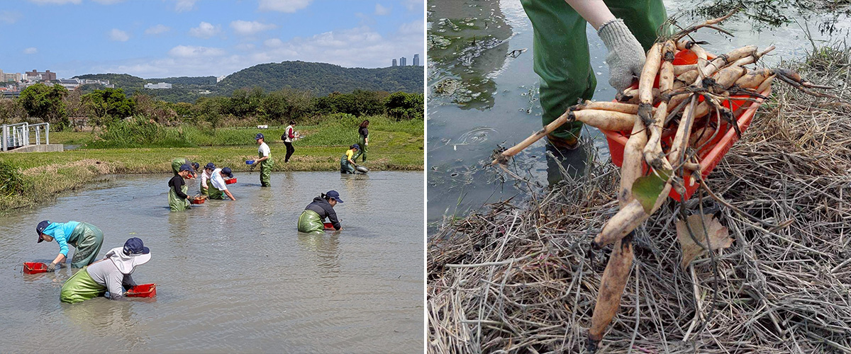 走進關渡自然公園的感官課