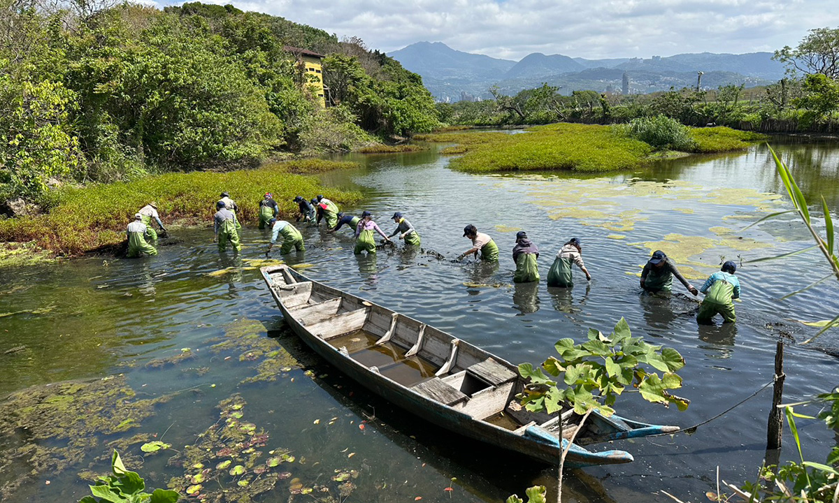 走進關渡自然公園的感官課