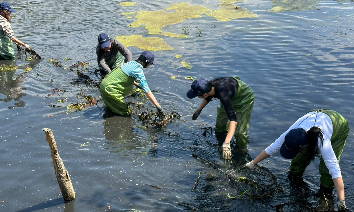 走進關渡自然公園的感官課