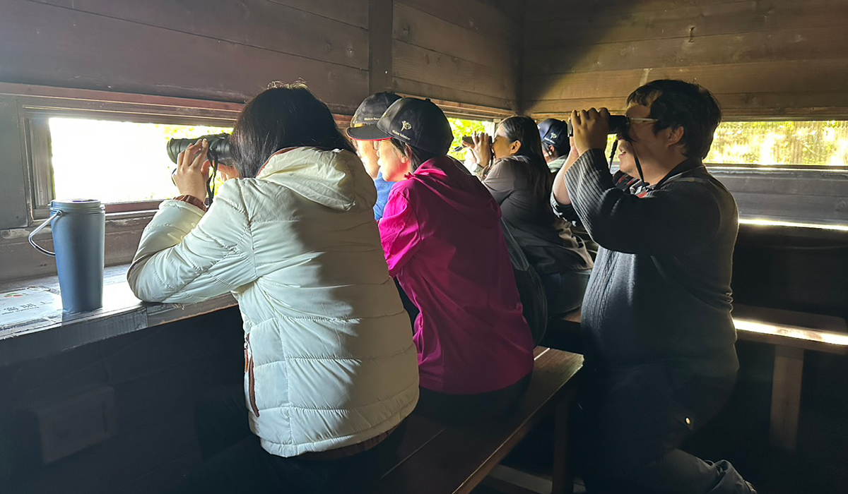 關渡自然公園的春日觀察筆記