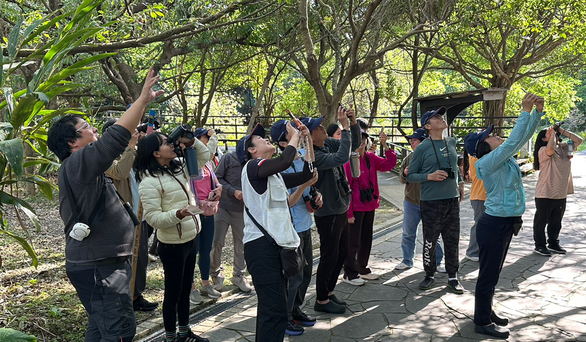 關渡自然公園的春日觀察筆記